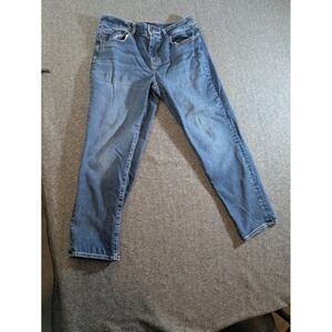 TALBOTS Jeans Everyday Relaxed Jeans Women Size 10 Straight Leg Classic